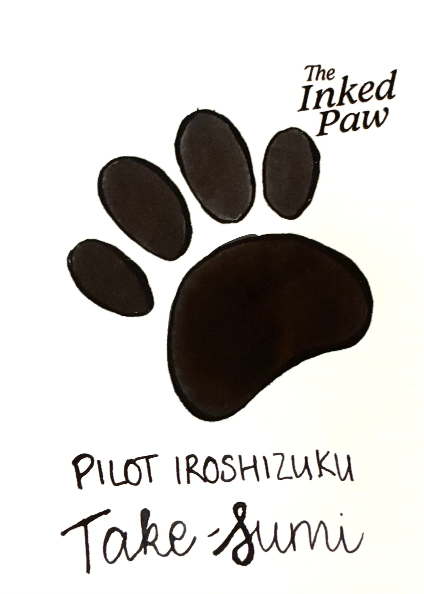 Pilot Iroshizuku Take-Sumi (sample)