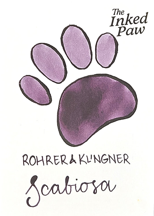 Rohrer & Klingner Scabiosa (sample) [iron gall]