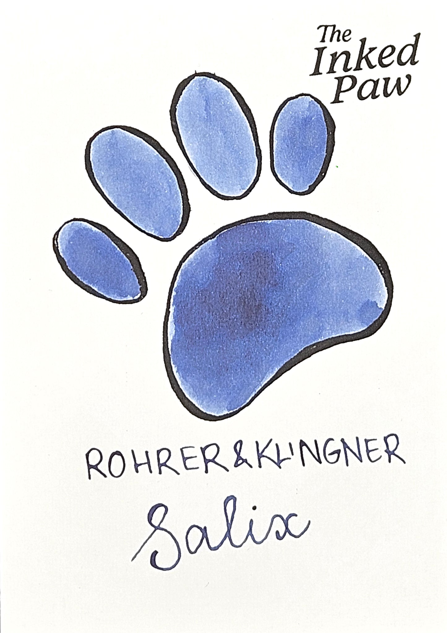 Rohrer & Klingner Salix (sample) [iron gall]