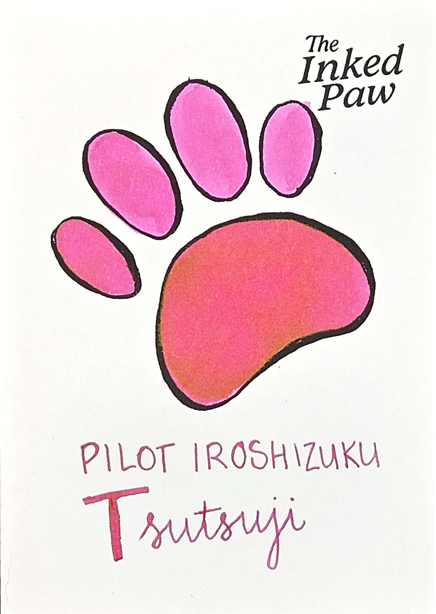 Pilot Iroshizuku Tsutsuji (sample)