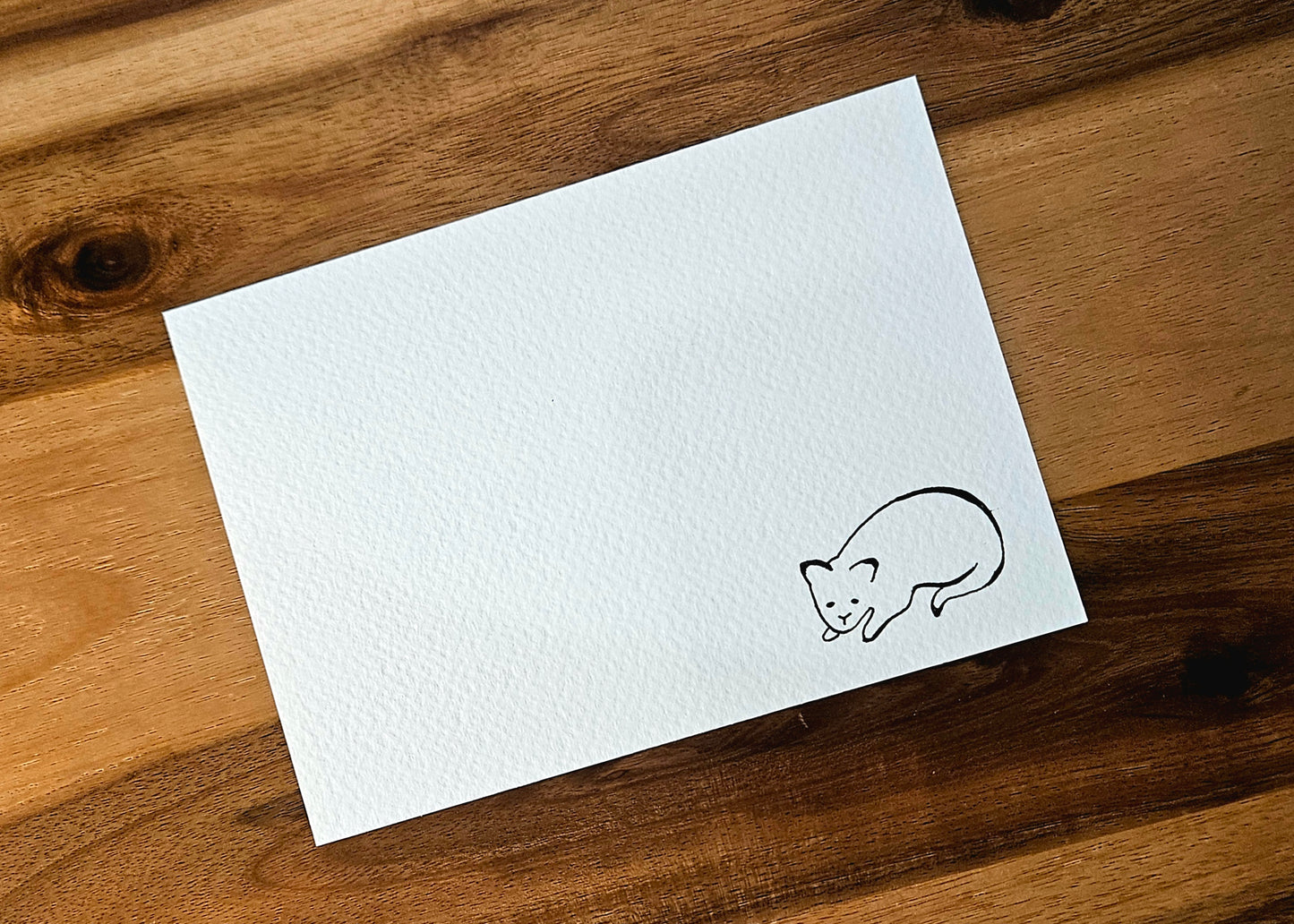 Note cards - cat lying down