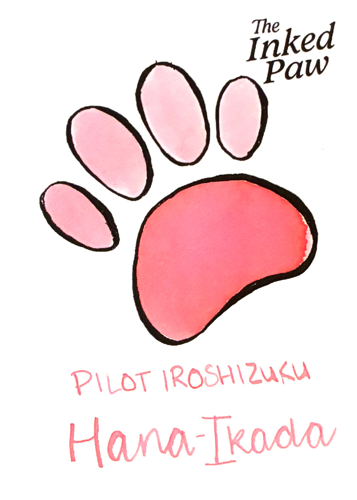 Pilot Iroshizuku Hana-Ikada (sample)