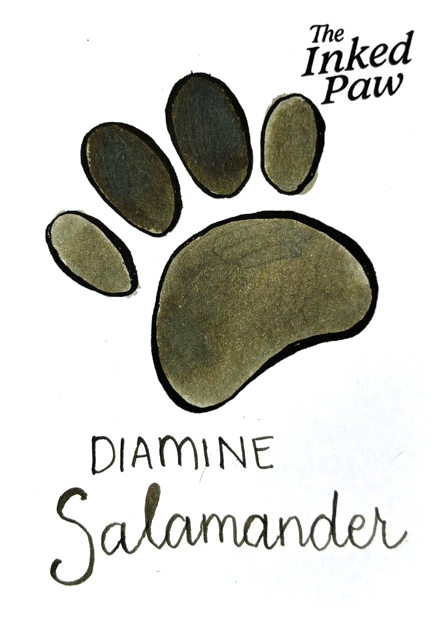 Diamine Salamander (sample)