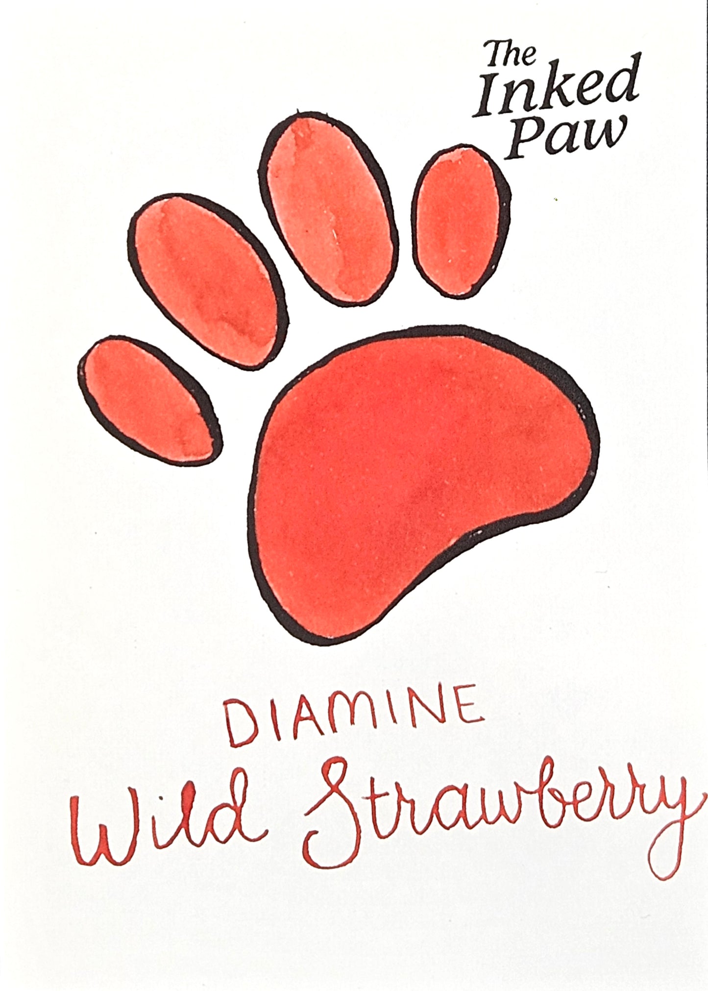 Diamine Wild Strawberry (sample)